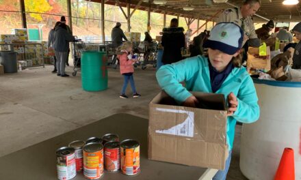 Scouting for Food: A November Tradition of Giving Back in Shippensburg