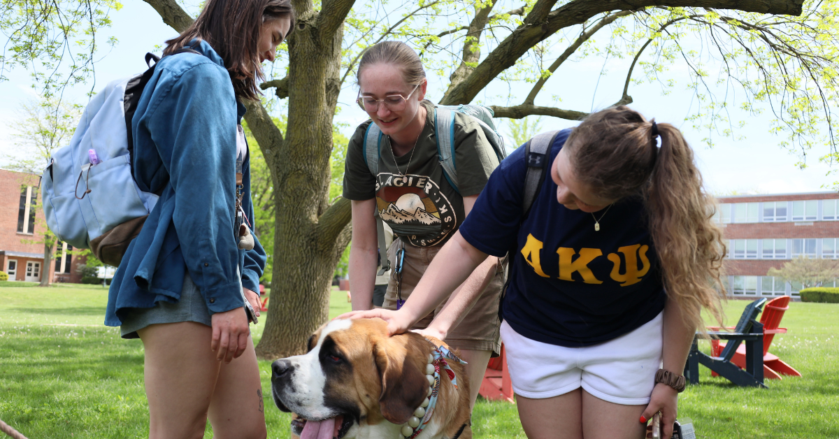 Dogs in the Quad: bringing Ship’s campus community together