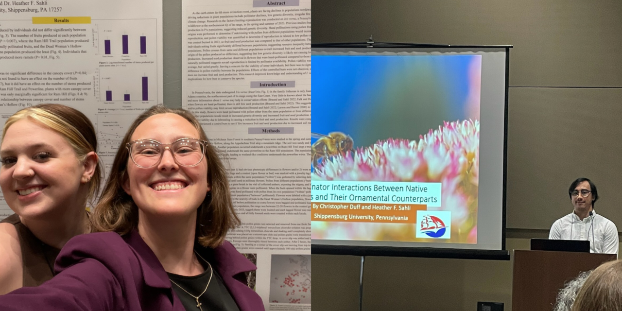 Sahli and biology students present research at 2024 Botany Conference